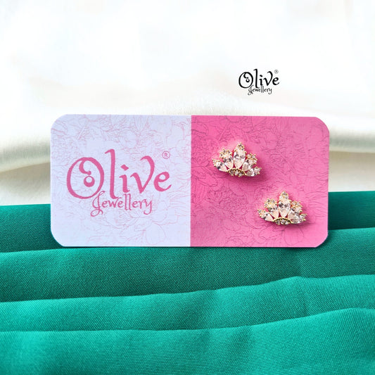Stainless Steel Earrings - 178