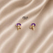 Stainless Steel Earrings - 190
