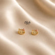 Stainless Steel Earrings - 204